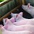 gallery/thumbnail_ls_pig